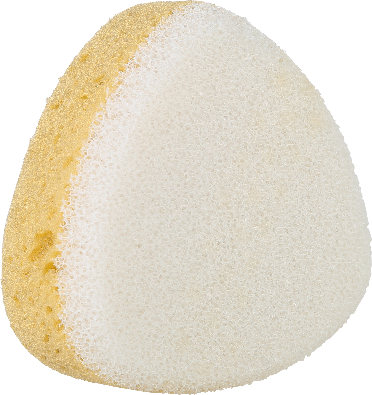 Sponge
