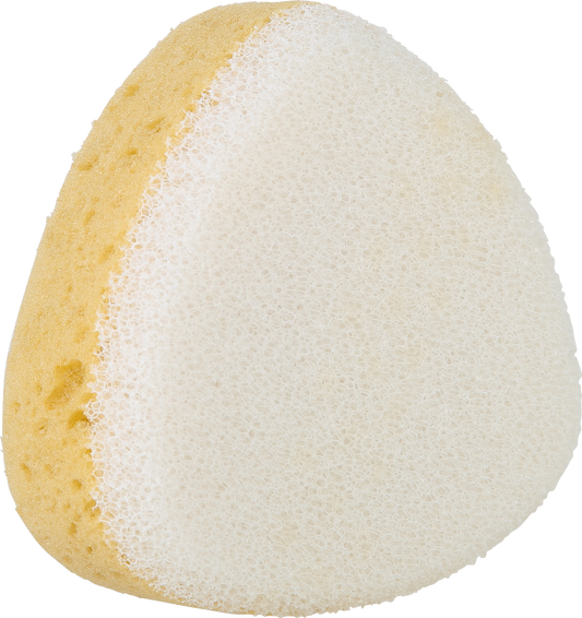 Sponge